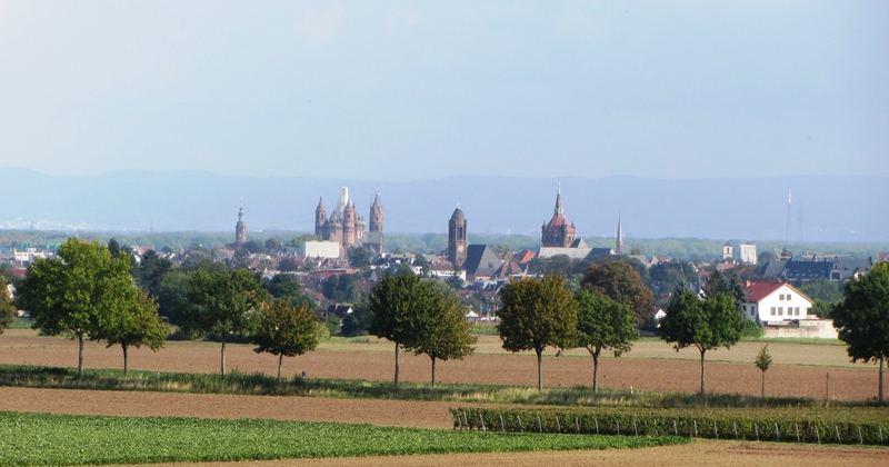 Web Design Worms – Cathedral City on the Rhine